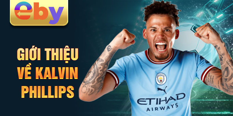 Giới thiệu về kalvin phillips