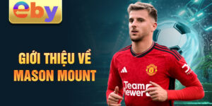 Giới thiệu về mason mount