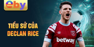 Tiểu sử của declan rice