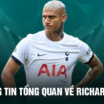 Thông tin tổng quan về richarlison