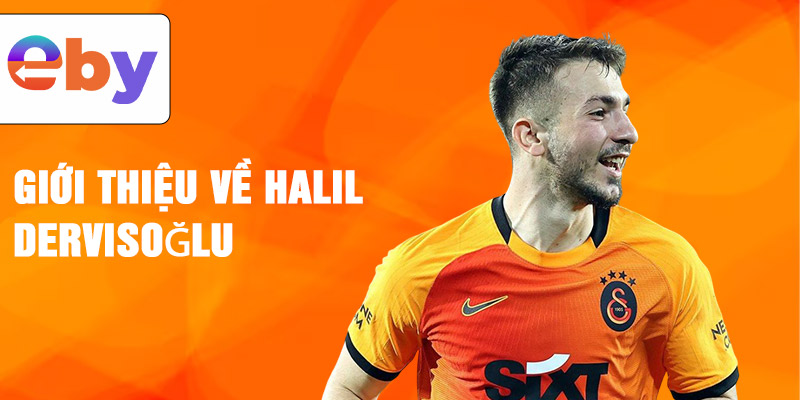 Giới thiệu về halil dervisoğlu